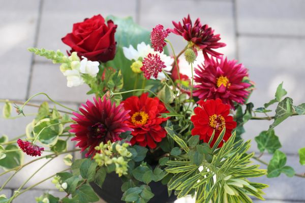 Autumn arrangement with dahlias in ceramic ball pot (11 stem)