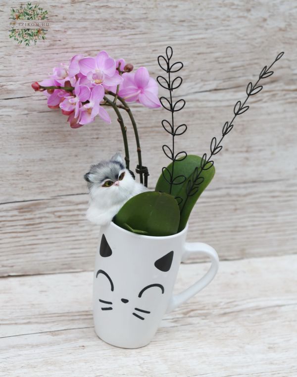 Mini-Orchidee mit einer klener Katze in einer Tasse mit Kätzchenmuster