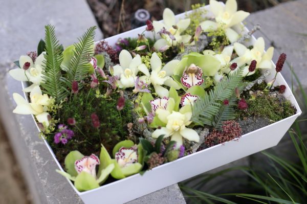 Virágbox, mohás erdei táj orchideákkal, apró virágokkal