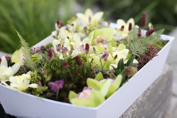 Virágbox, mohás erdei táj orchideákkal, apró virágokkal