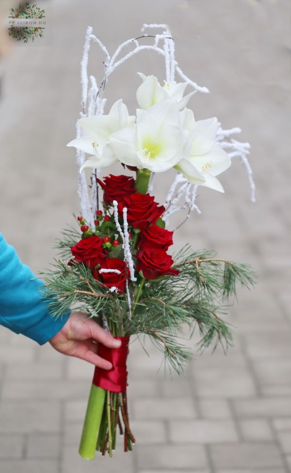 Weiße Amaryllis mit roten Rosen
