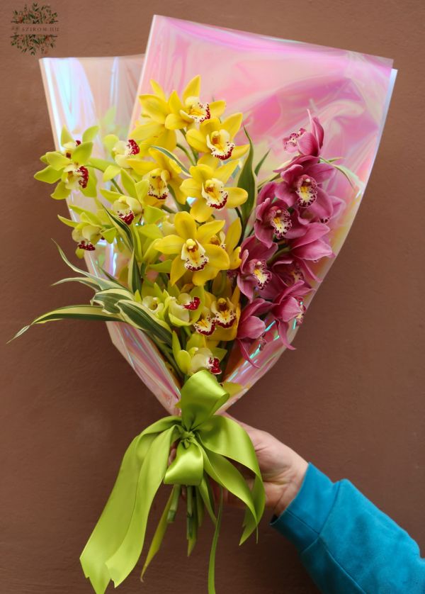 Bunte Mini Cymbidium Orchideen im Strauss