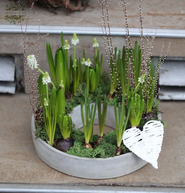 Tavaszi összeültetés