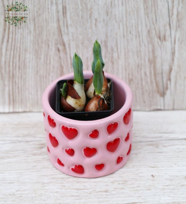 Rote Tulpen im Herz Topf