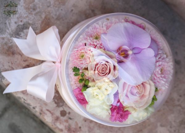 Mother's Day flower box with plexiglass lid, orchid, rose