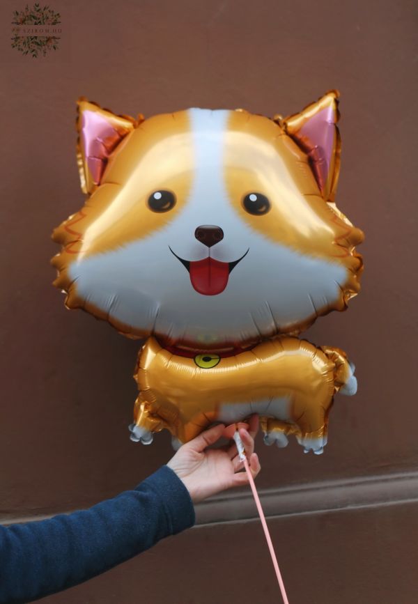 Pomerániai kutya lufi