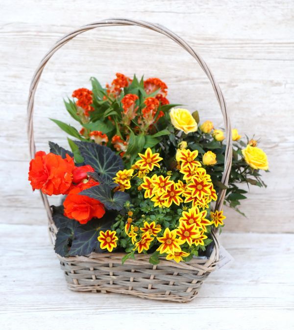 Orange - yellow may basket with potted balcony plants