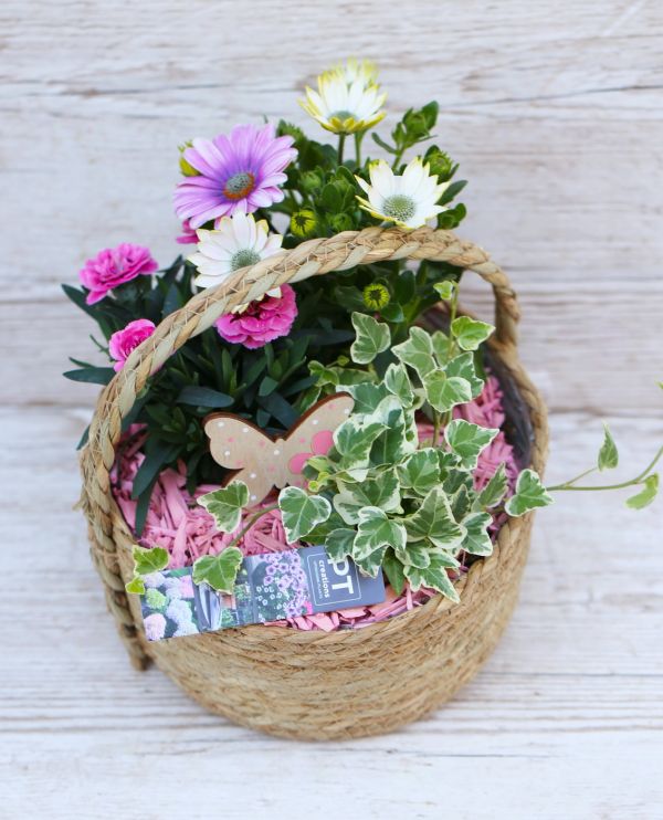 Pink may basket with balcony plants