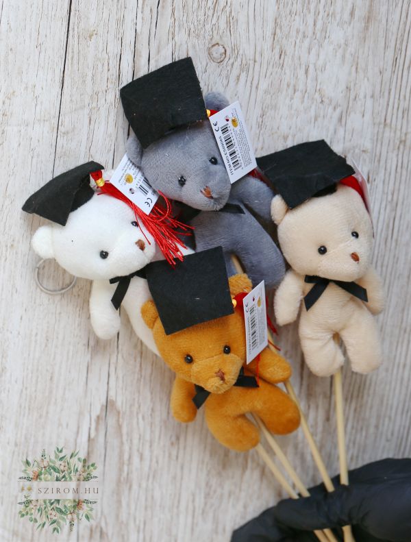 Abschluss-Teddybär am Stiel in 4 Farben (13 cm)