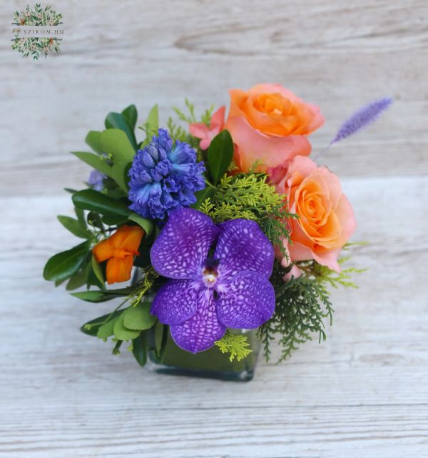 Happy summer glascube with coral roses and orchid 