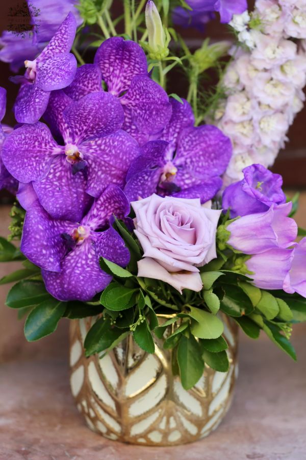 Vanda orchid stem with purple flowers in a beautiful pot