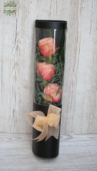 3 peach roses in paper cone
