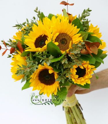 Strauß von 10 Sonnenblumen