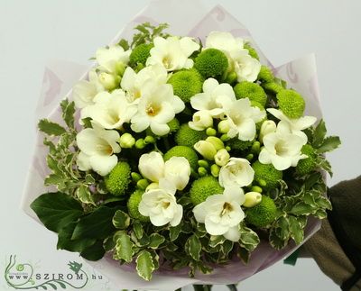 Weiße Freesien und grünen Chrysanthemums (15 Stämme)