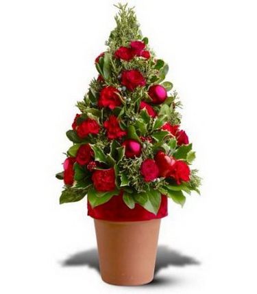 Weihnachtsbaum aus grünen Blättern mit roten Nelken (26cm)