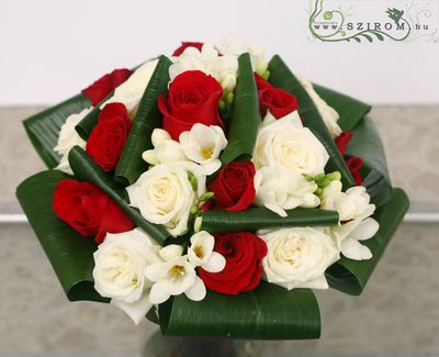 red and white roses and freesia (25 stems)