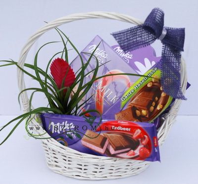 Milka-Schokolade Korb mit Tillandsia