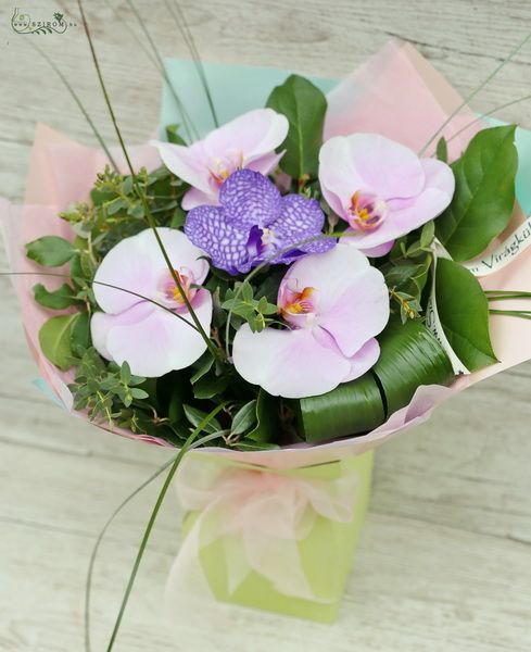 phalaenopsis orchid bouquet in paper vase
