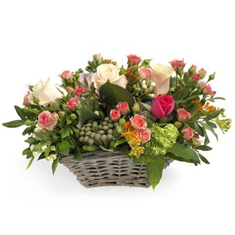 spray roses in basket (25cm)