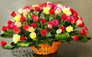 70 colorful roses in a basket (1m)