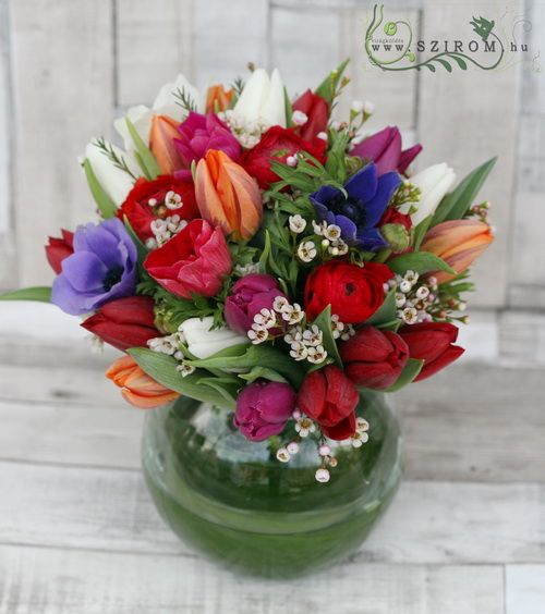 40 Frühlingsblumen in einer Glaskugel