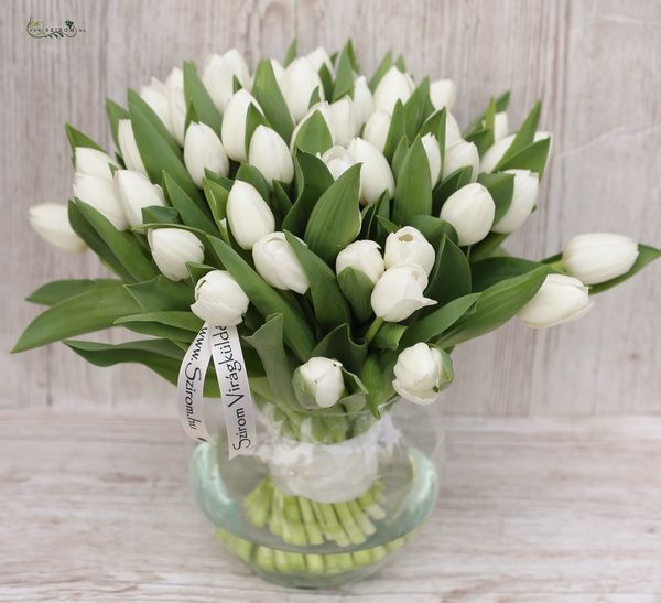 60 weiße Tulpen in einer Glaskugel
