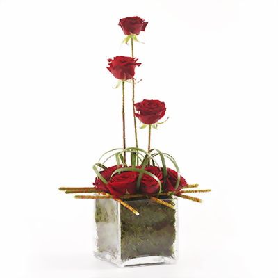 9 red roses in a glass cube