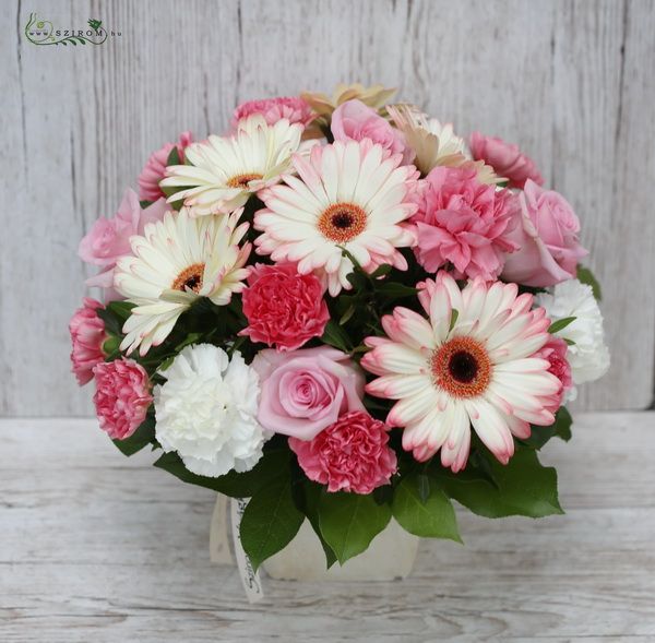 pink carnation, rose, gerbera  in cube (25 stems)