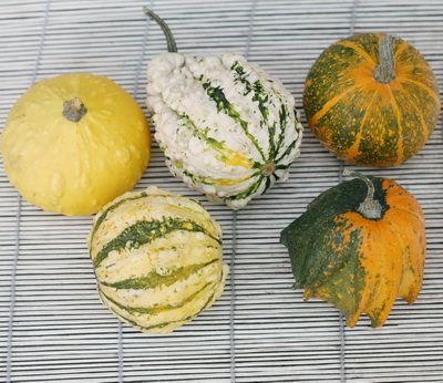 pumpkin real 1db (9-11cm)