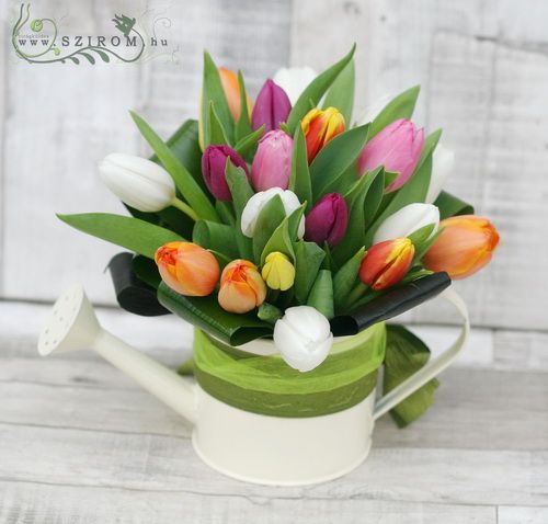 cattle of tulips (20 stems)