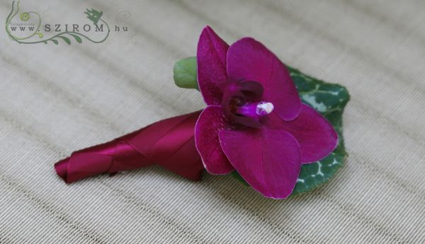 Boutonniere of phalaenopsis (pink)