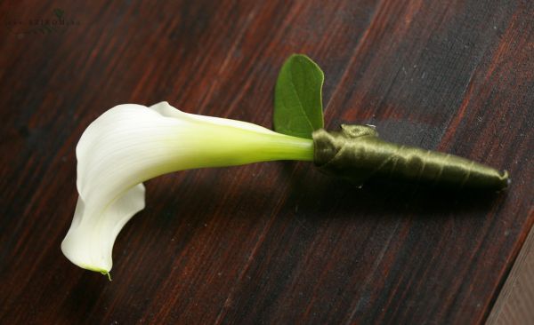 Boutonniere of calla (white)