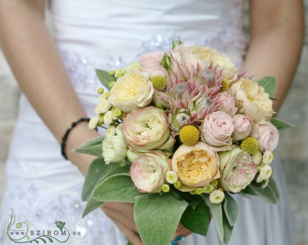 Menyasszonyi csokor vuvuzela gold rózsákkal, craspediával ( mini protea, matricaria, pasztell rózsaszín, sárga)