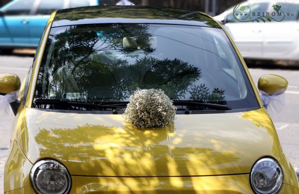 round car flower arrangement with gypsophila (white)