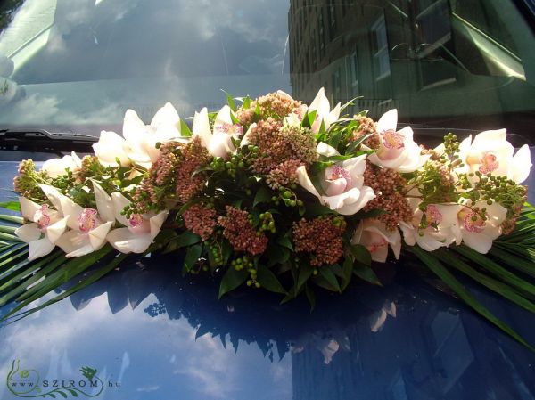 oval car flower arrangement with orchids and sedum, only in autumn (white)