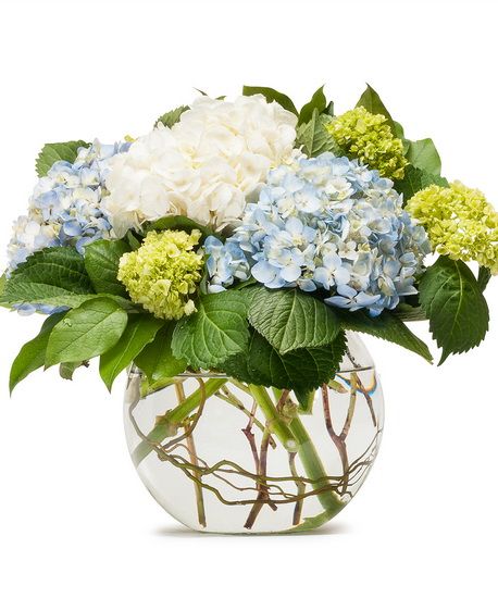 Schöne Hydrangeas in großer Glaskugel
