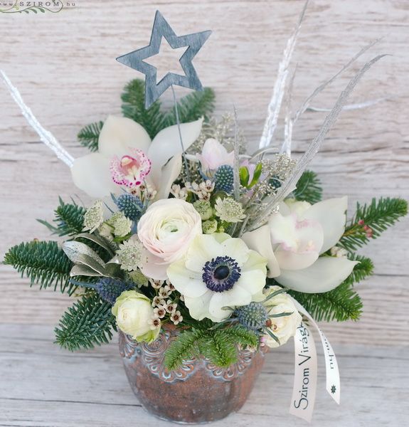 Keramiktopf mit frische Winter Blumen und Sterne