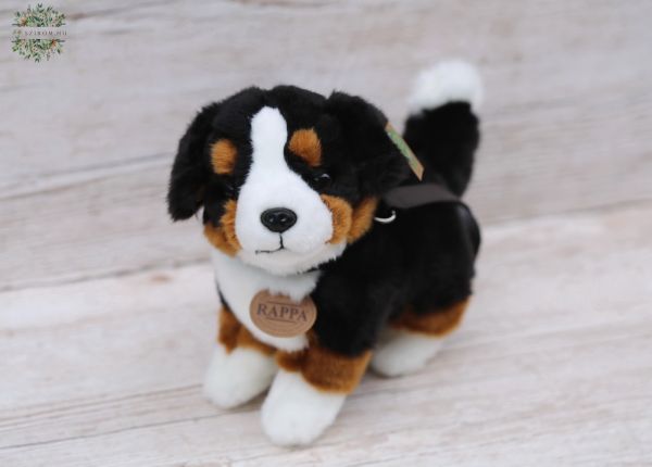 Plüss berni pásztor kutya (22cm)