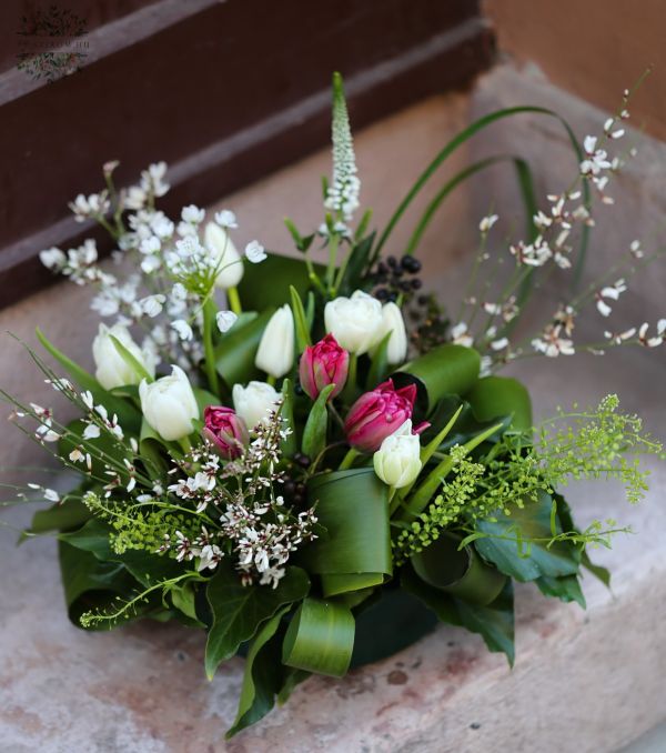 Asztaldísz tulipánnal és fehér apró virágokkal (ginestra, tulipán, allium, veronika, vörös, fehér)