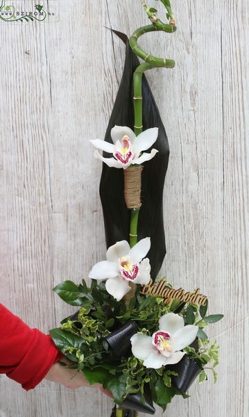 Graduierung-Strauss aus 3 weissen Orchideen, Bambus (3 St)