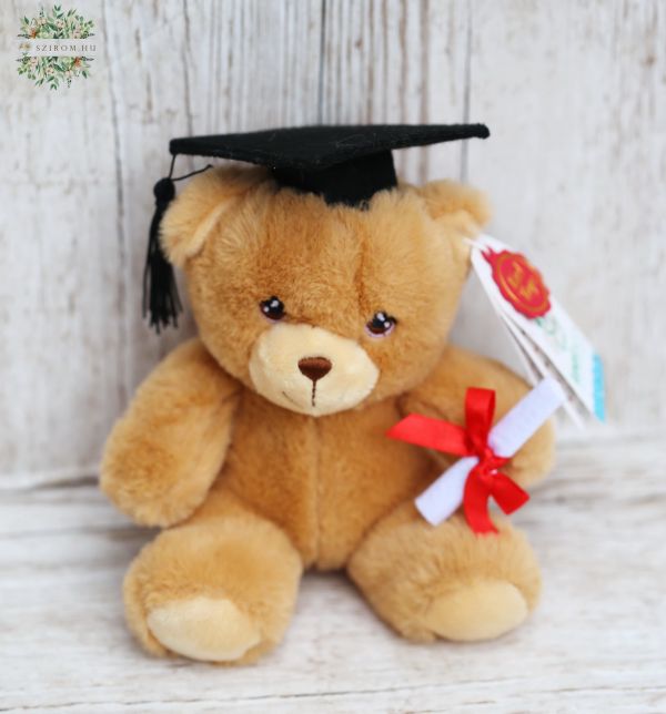 Graduation plush teddy bear 20cm