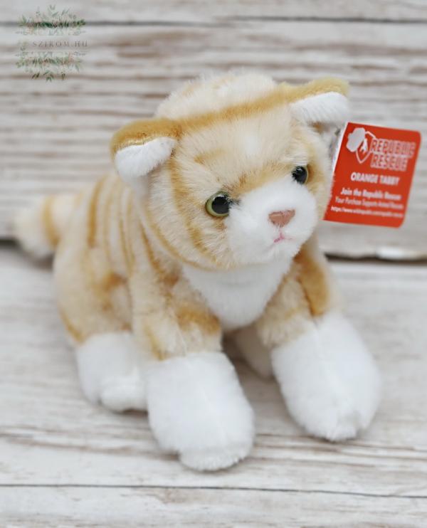Striped kitten (10 cm)
