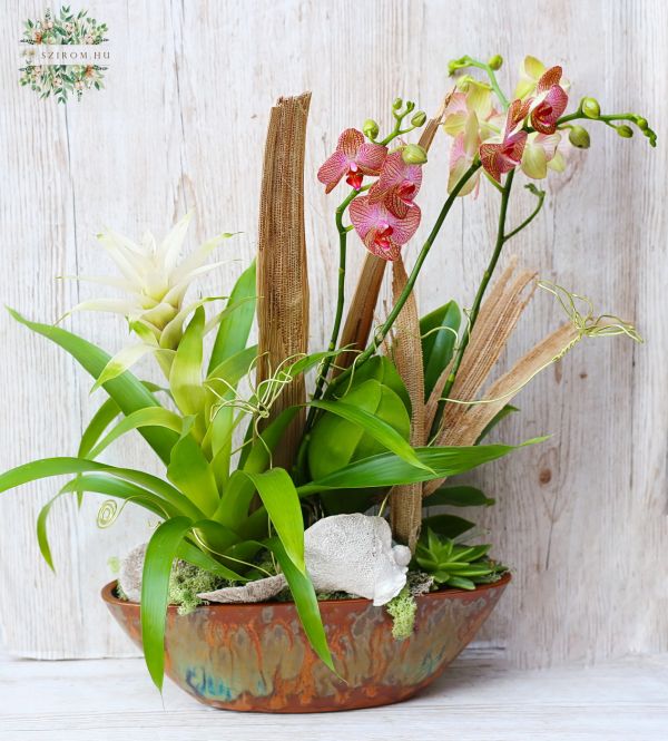 Elegáns kerámia hajó orchideával, guzmániával, kövirózsával, drót virágokkal és modern dekorációval