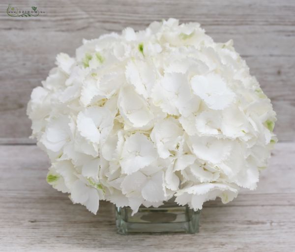Wedding centerpiece white hydrangea in glass ball