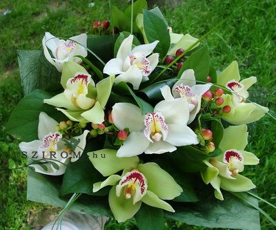 white and green orchid bouquet with berries (10 stems)