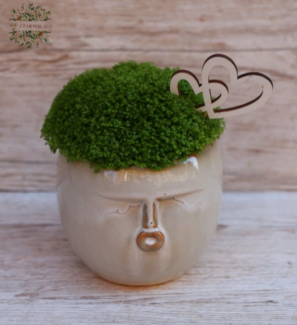 Head pot with Soleirolia plant