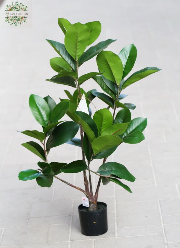 Ficus elastica artificial plant