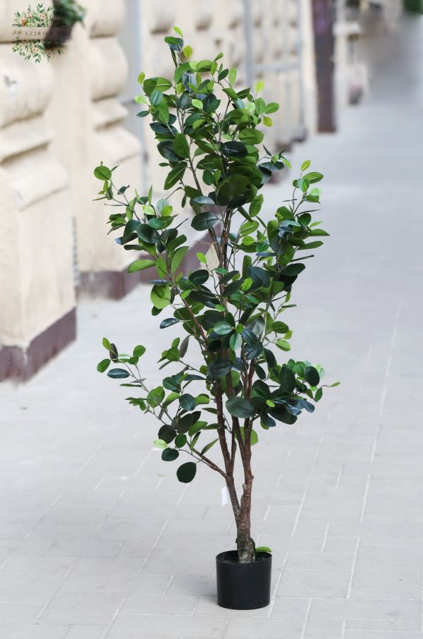 Artificial ficus tree plant