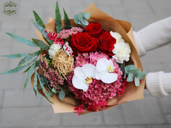  Hortensien und Orchideen