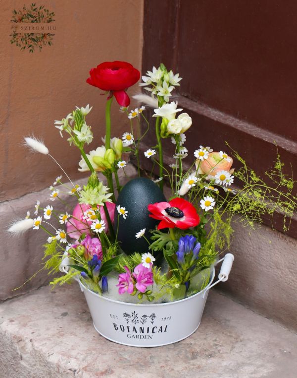 Osterblumenschale mit Emu-Ei und Frühlingsblumen